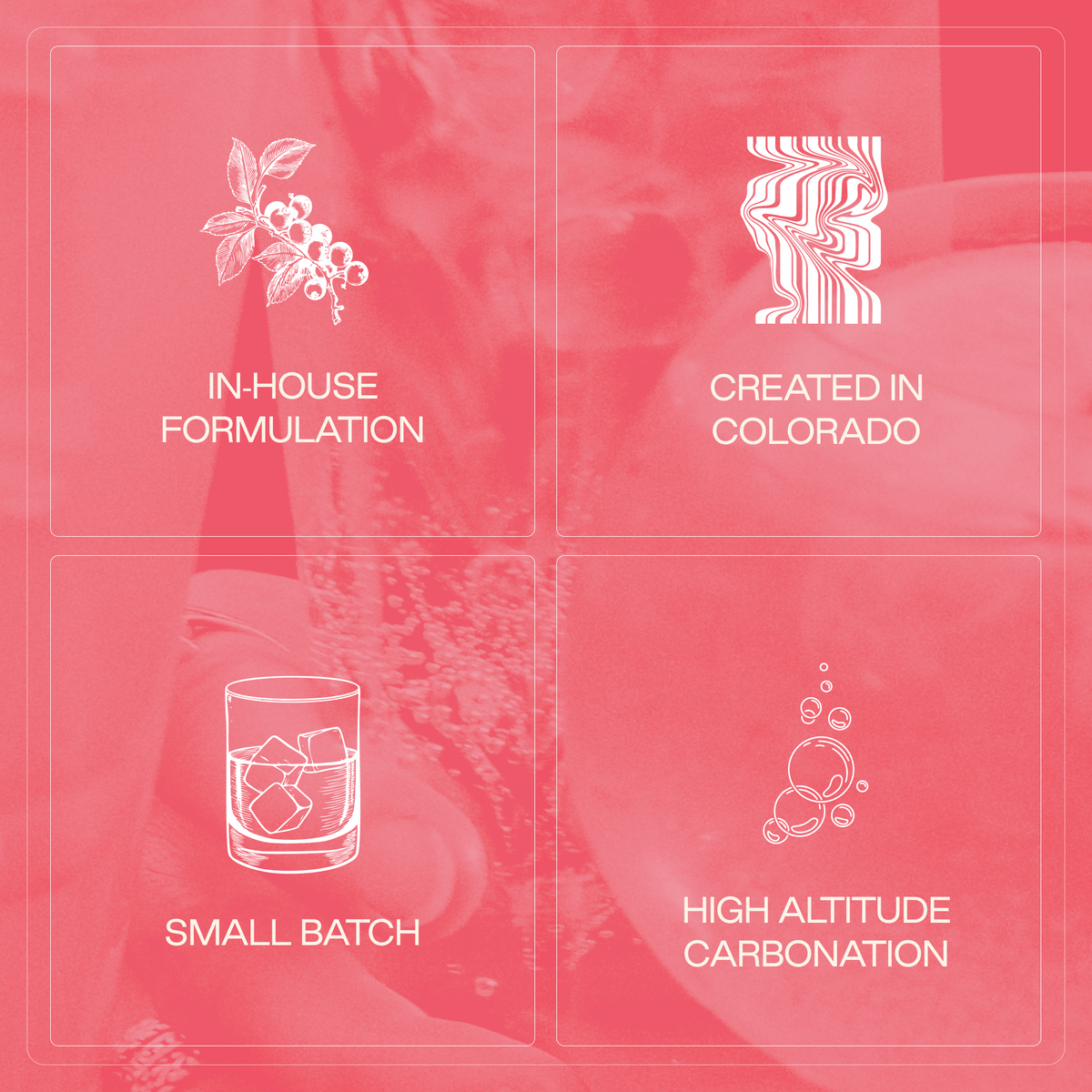 mocktail sample pack (12 pack)